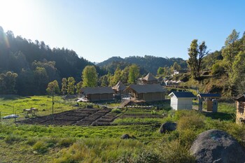 saraaya glamps dharamshala