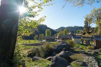 saraaya glamps dharamshala
