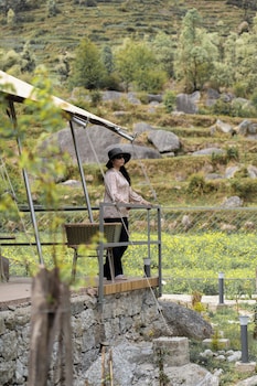 saraaya glamps dharamshala