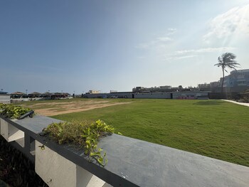 golden rivera near sea beach