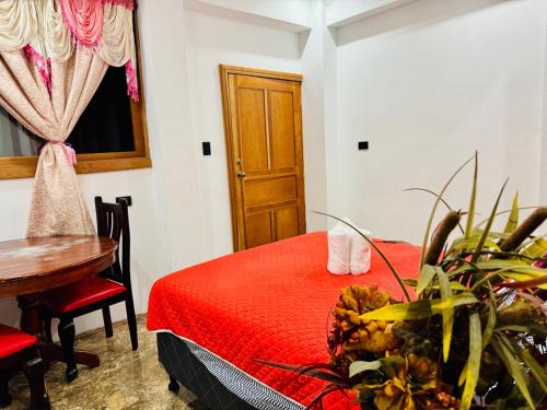 casa don 20