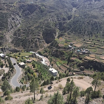 eden garden