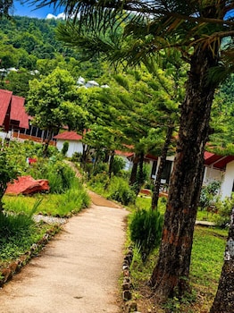 chardham resort guptakashi