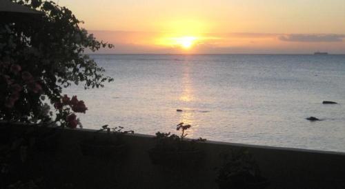 Le Cactus Guesthouse,Mauritius>>Balaclava,2 star