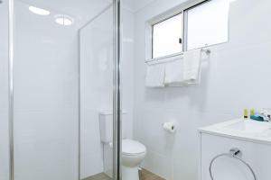 raintree motel biloela