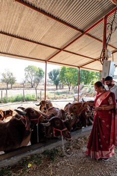 alaya stays krishna serenity suite