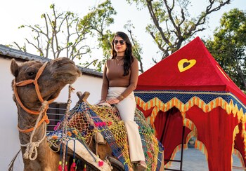 alaya stays krishna serenity suite