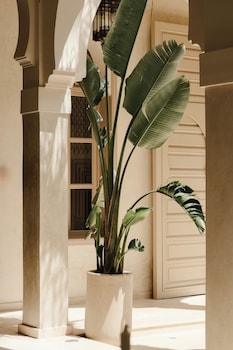 maison zamane