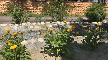 hotel gardenview kurukshetra