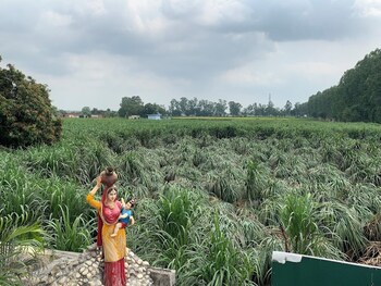 hotel gardenview kurukshetra