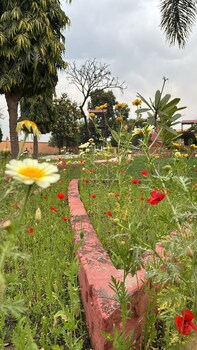 hotel gardenview kurukshetra