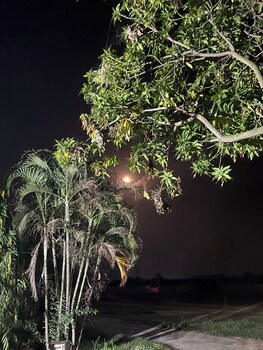 hotel gardenview kurukshetra