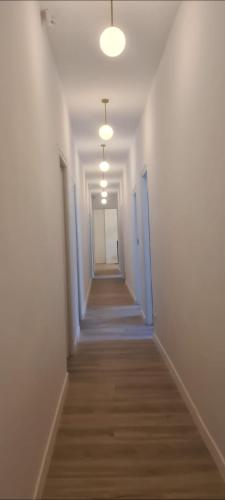 hostal andrea sol