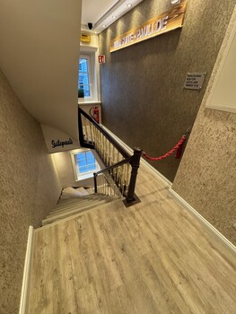 suite pauli