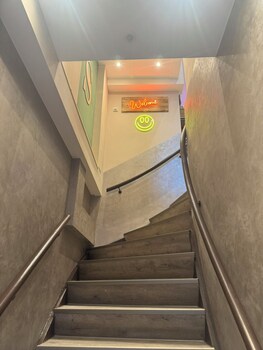 suite pauli