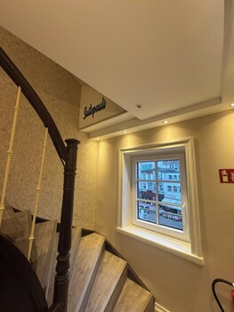 suite pauli