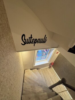 suite pauli