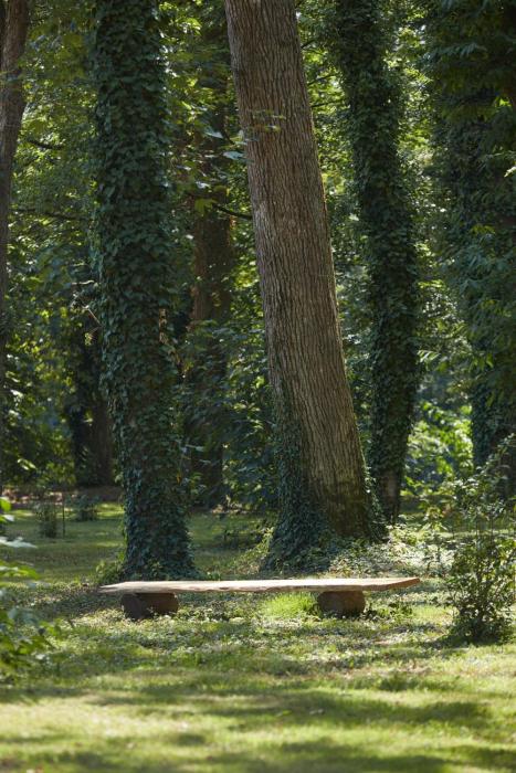 domaine le mezo