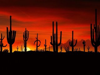 sonesta simply suites phoenix glendale