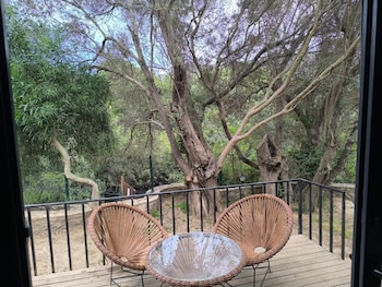 alya hill bodrum