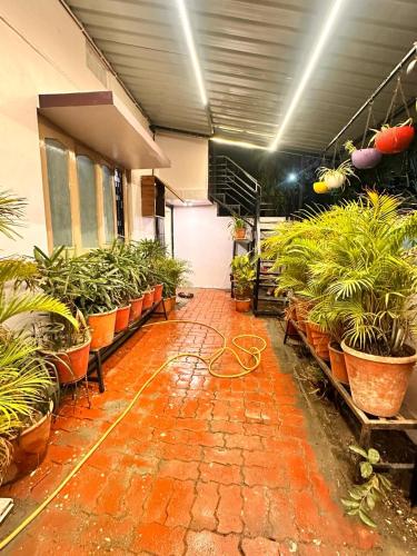 mangala homestay