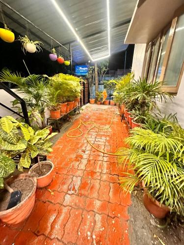 mangala homestay