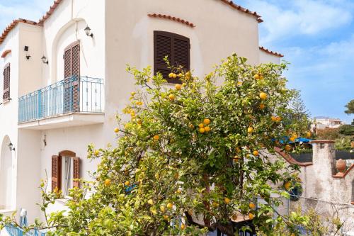 villa comar
