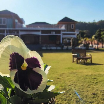 tranquil nature resort