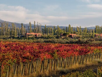 atamisque wine lodge