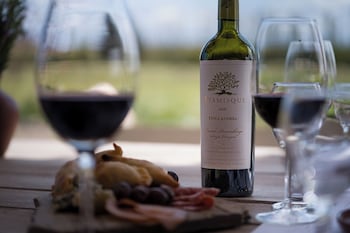 atamisque wine lodge