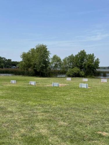 willow beach rv park and marina