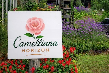 camelliana horizon pongyang nature retreat