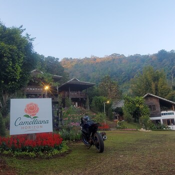 camelliana horizon pongyang nature retreat