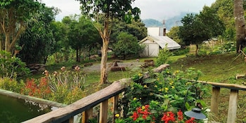 camelliana horizon pongyang nature retreat