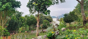 camelliana horizon pongyang nature retreat