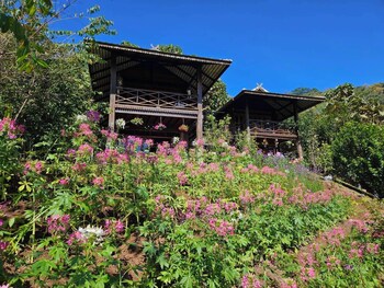 camelliana horizon pongyang nature retreat