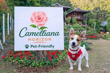 camelliana horizon pongyang nature retreat