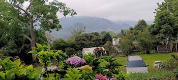 camelliana horizon pongyang nature retreat