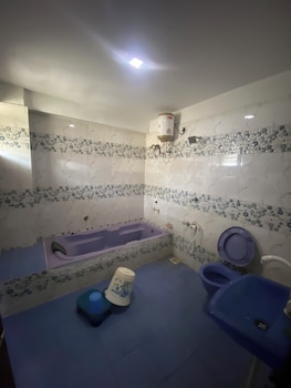 hotel anand palace inn