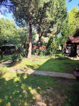 agva tartaruga motel