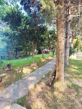 agva tartaruga motel
