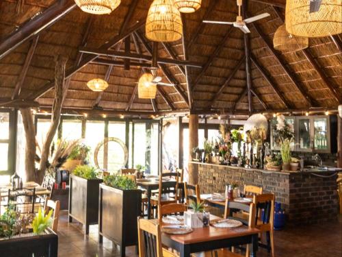 eco lodge lephalale