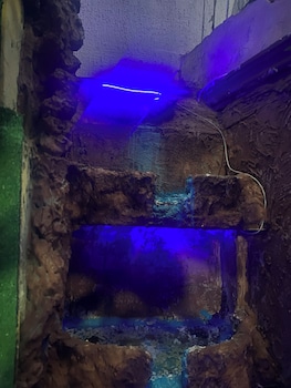 green yesil otel