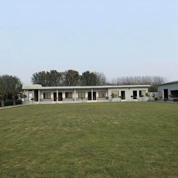 the forestaa resort