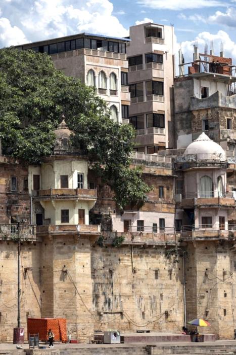 maharana mahal