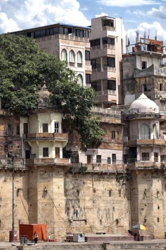 maharana mahal
