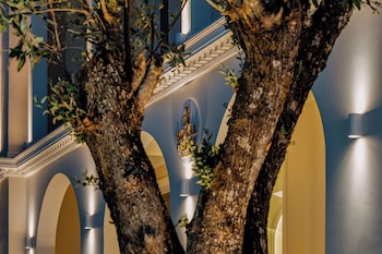 royal nidri suites