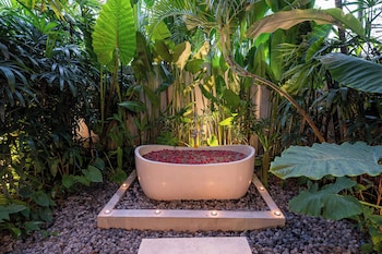 casa contenta kouru