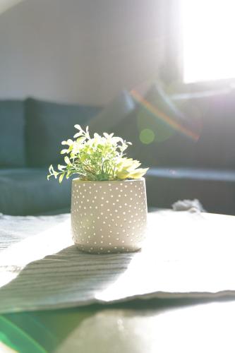 bright and central apartment