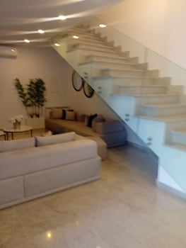 sandra 31